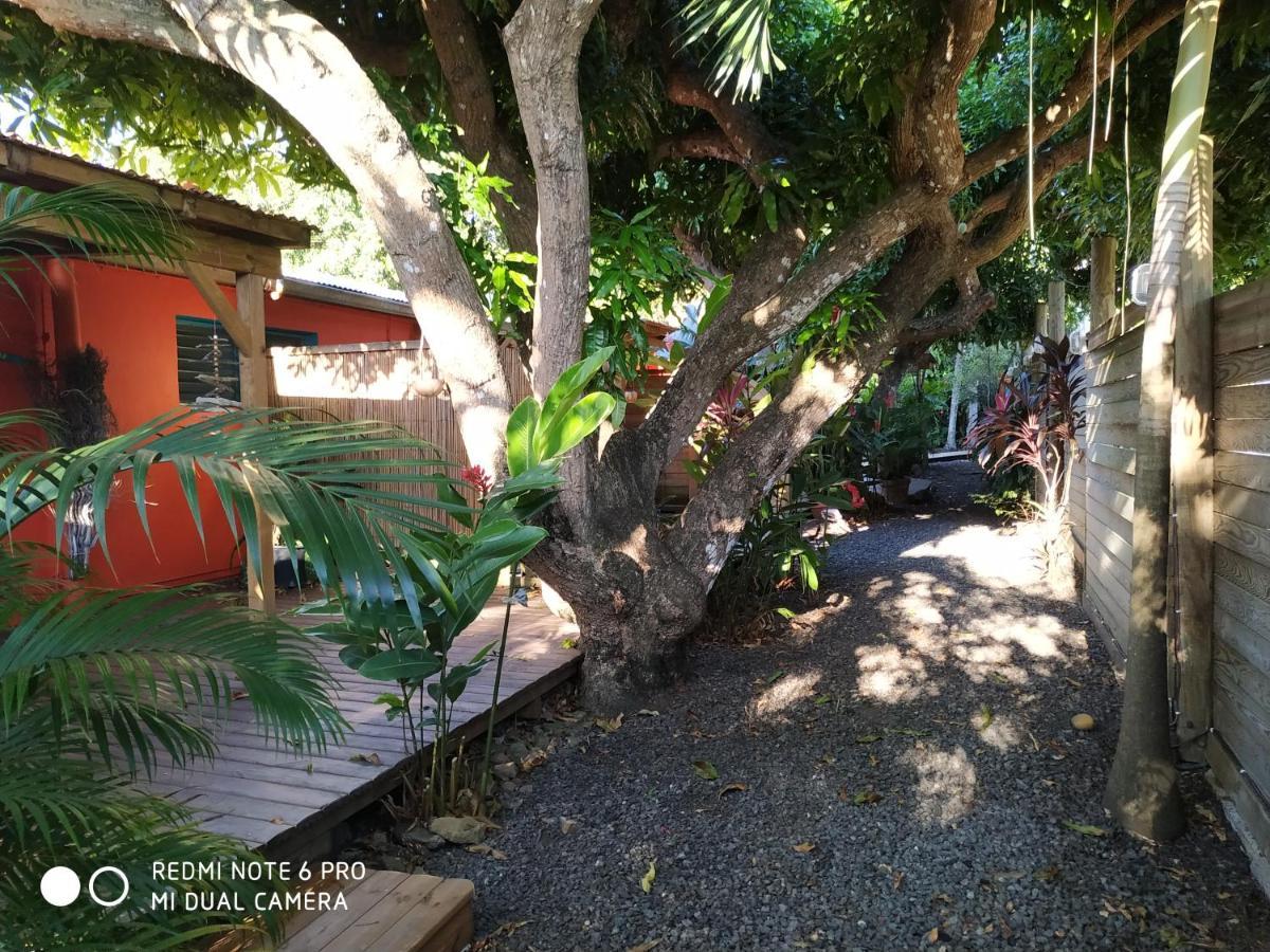 Villa Les Manguiers à Deshaies Extérieur photo