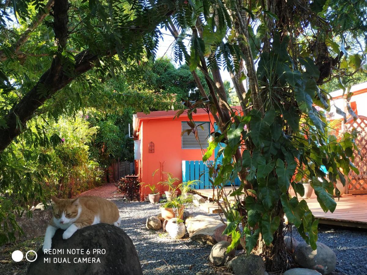 Villa Les Manguiers à Deshaies Extérieur photo