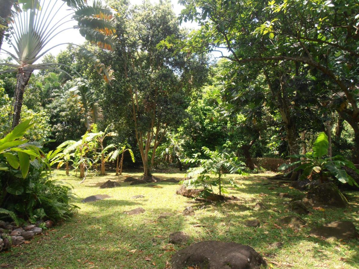 Villa Les Manguiers à Deshaies Extérieur photo