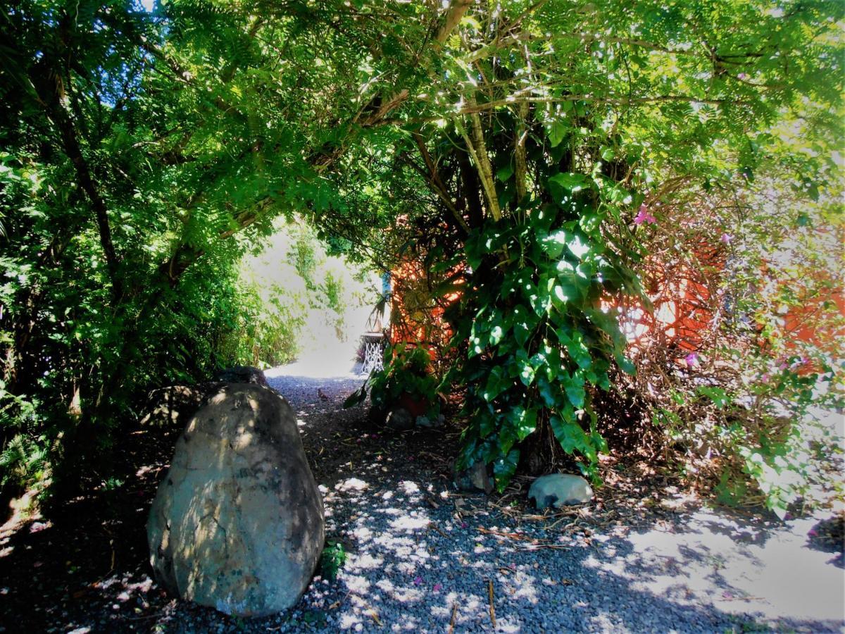 Villa Les Manguiers à Deshaies Extérieur photo